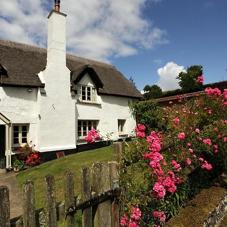 Brook Farmhouse Tedburn Bagian luar foto