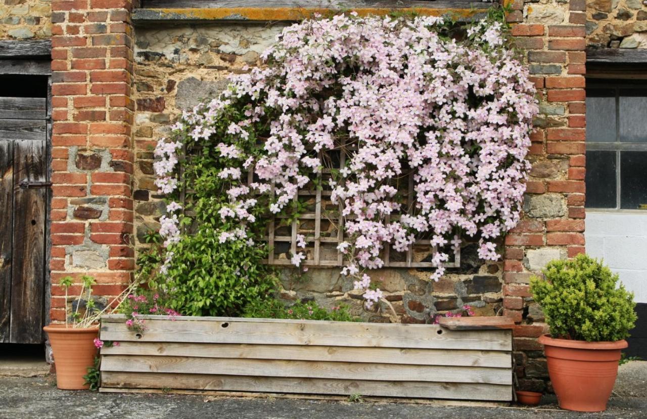 Brook Farmhouse Tedburn Bagian luar foto